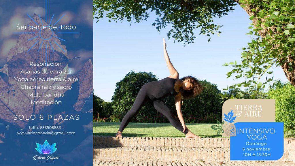 Yoga Intensivo: Tierra & Aire - Diana Vayus Yoga